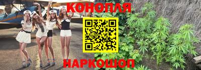 гашик Малгобек