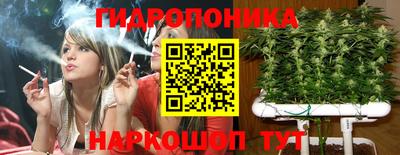 прущие грибы Малоярославец