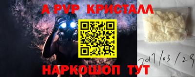 гашик Малгобек