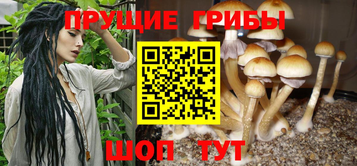 Псилоцибиновые грибы Magic Shrooms Балтийск