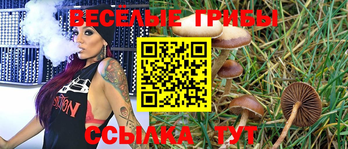 Балтийск  Галлюциногенные грибы MAGIC MUSHROOMS  Вход с VPN 